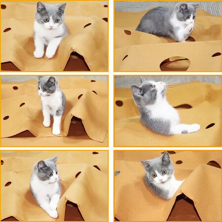 Durable Foldable Cat Play Mat - Scratch-Resistant Hide & Seek Blanket with Holes