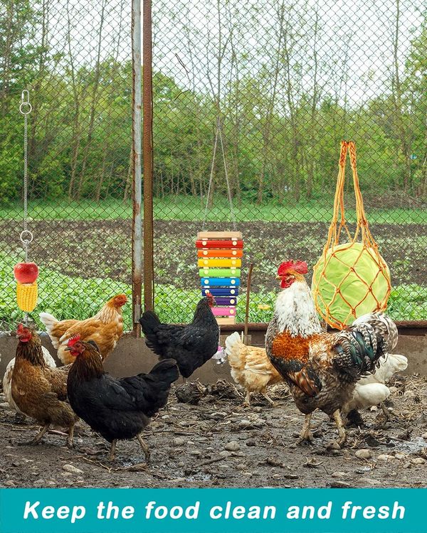 5-Pack Chicken Toys Variety Pack: Xylophone, Mirrors, Ladders, Swings, and Hanging Feeder for Chicken Coop Enrichment