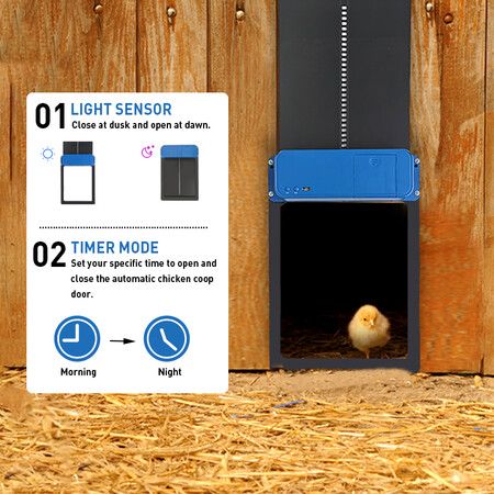 Efficient Auto Chicken Coop Door with Timer and Light Sensor for Convenient Chicken and Duck Care