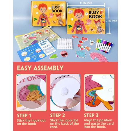 Human Body Preschool Busy Book 30 Pages Quiet Book, Montessori Learning Toys for Toddlers 3-5, Learning Activities Coloring Sticker Book