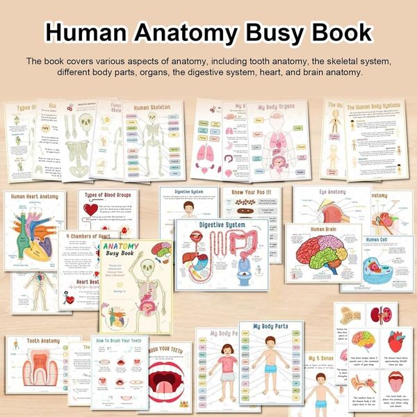 Human Anatomy Busy Book, Preschool Montessori Toys for Kids, Montessori Human Organ Match Preschool Interactive Anatomy Busy Book