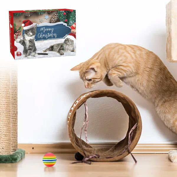 Cat Christmas Advent Calendar,24 Days Countdown Calendar with Assorted Interactive Cat Toys for Indoor Cats Pet Surprise Gifts