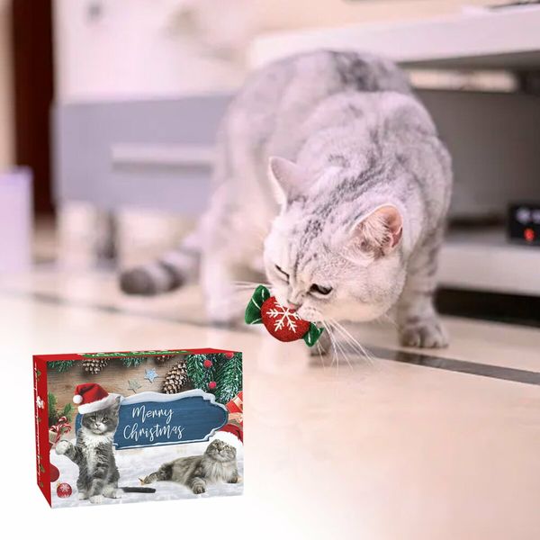 Cat Christmas Advent Calendar,24 Days Countdown Calendar with Assorted Interactive Cat Toys for Indoor Cats Pet Surprise Gifts