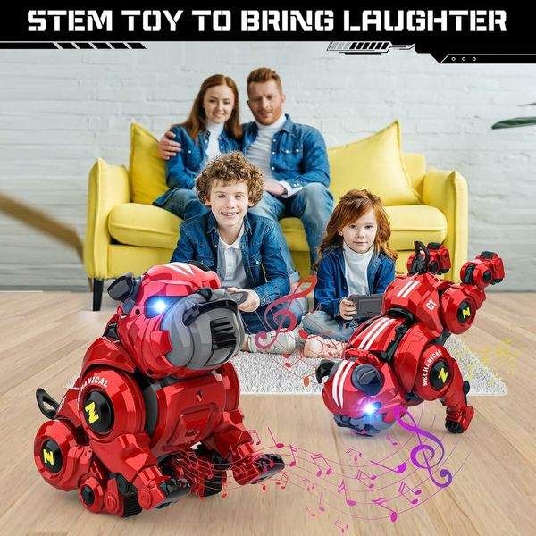 Robot Dog for Kids, Remote Control Robot Rechargeable Programing Stunt Robo Dog with Sing, Dance for Boys Ages 5 6 7 8 9 10+ Birthday Gifts