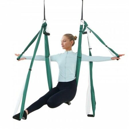 Aerial Yoga Swing Set 2.5 m Length Yoga Hammock Hanging Swing Aerial Sling Inversion Fly Kit Trapeze Inversion Equipment with Ceiling Mount Accessories