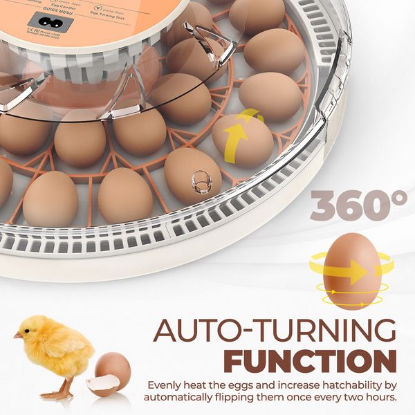 30 Egg Incubator Automatic Hatcher Hatching Hatchery Machine for Chicken Duck Quail Bird Goose Turkey with Auto Turner Humidity Control LED Candler