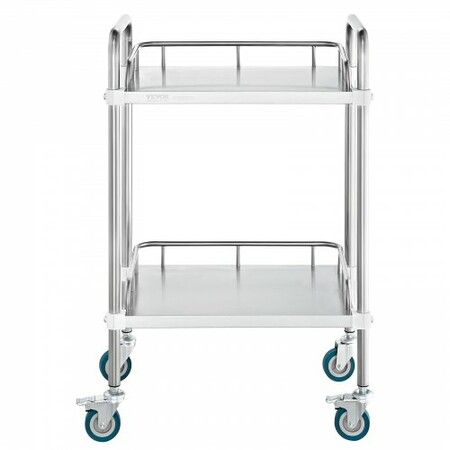 Lab Rolling Cart 2-Shelf Stainless Steel Rolling Cart Lab Serving Cart with Swivel Casters Dental Utility Cart for Clinic Lab  Hospital Salon