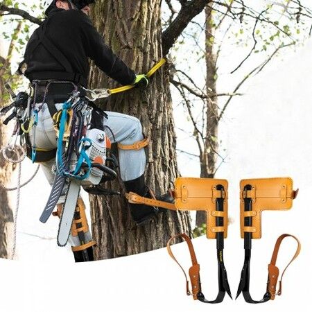 Tree Climbing Spike Set Pole Climbing Spurs W/ Security Lanyard & Harness