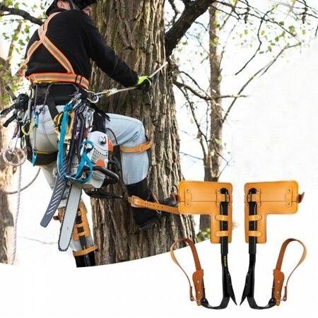 Tree Climbing Spikes 1 Pair Alloy Steel Pole Climbing Spurs with Adjustable Height and Cow Leather Straps Arborist Equipment for Climbers Logging Hunting