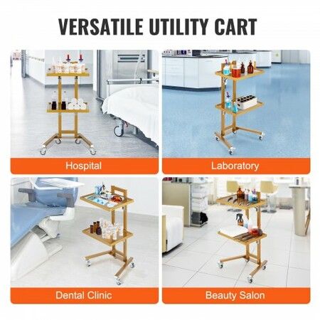 2 Tiers Stainless Steel Lab Carts with 2 Trays & 4 Silent Wheels Golden