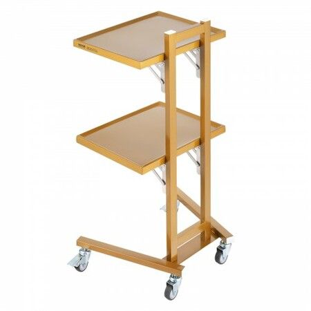 2 Tiers Stainless Steel Lab Carts with 2 Trays & 4 Silent Wheels Golden