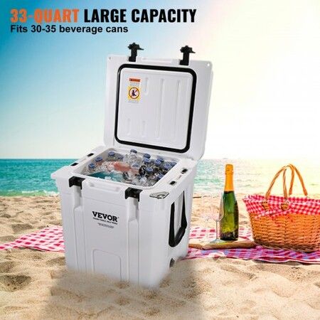 Insulated Portable Cooler 31 L Holds 35 Cans Ice Retention Hard Cooler with Heavy Duty Handle Ice Chest Lunch Box for Camping Beach Picnic Travel