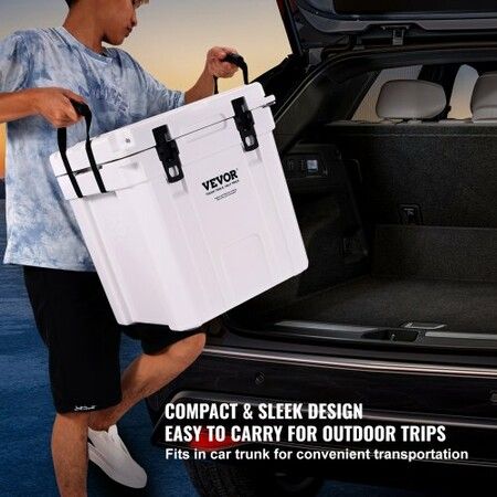 Insulated Portable Cooler 31 L Holds 35 Cans Ice Retention Hard Cooler with Heavy Duty Handle Ice Chest Lunch Box for Camping Beach Picnic Travel