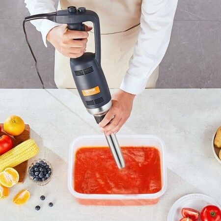 Commercial Immersion Blender 350W Heavy Duty Hand Mixer for Soup Sauces