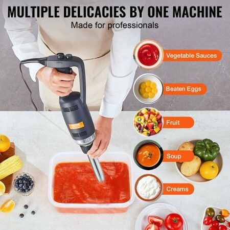 Commercial Immersion Blender 350W Heavy Duty Hand Mixer for Soup Sauces