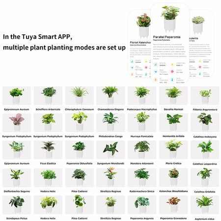 Smart Pet Planter Robot Guidance on Plant Care with Emoji,Adorable Plant Companion with Rich Gesture Interaction,Neat Desk Setup Gift (Green)