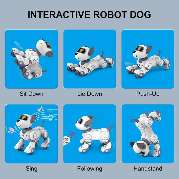 Remote Control Robot Dog Toy for Kids, Programmable Robotic Puppy, Smart Interactive Stunt Robot Dog Toy (Blue)