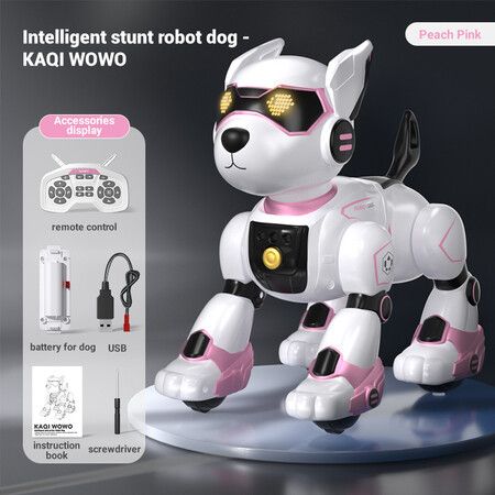 Robot Dog Toy for Kids, Programmable Remote Control Robot Puppy with Voice & Touch Sensors, Dancing & Singing (Pink)