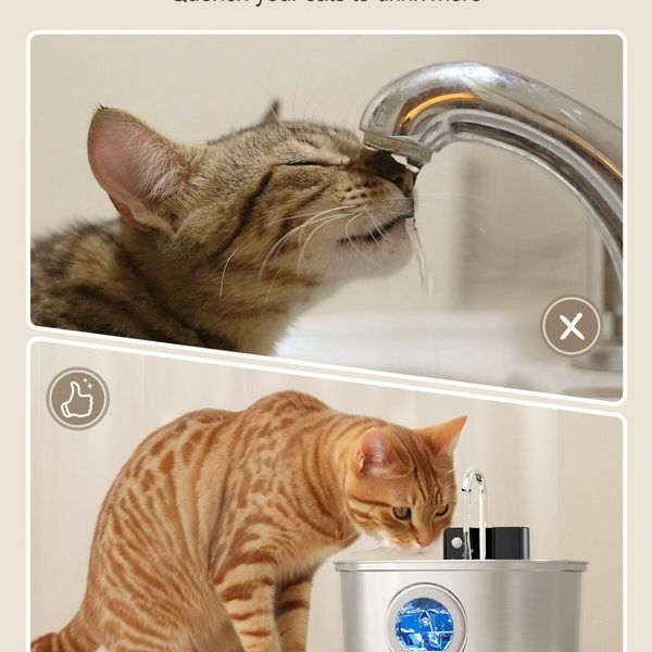 Stainless Steel Pet Water Fountain Battery Operated,3.2L Automatic Water Dispenser With Quiet Pump for Cats,Dogs,Multiple Pets
