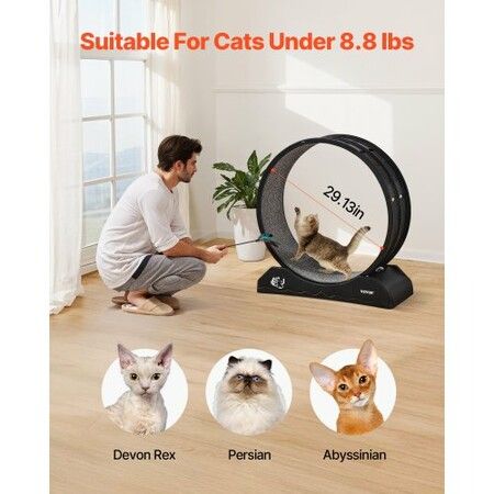 Cat Exercise Wheel 31.5 in Large Indoor Cat Running Wheel Treadmill Black