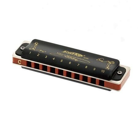Diatonic Harmonica Key of C 10 Holes 20 Tones 008K Blues Harp Mouth Organ Harmonica with Black Cover