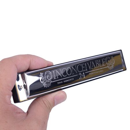 Tremolo Harmonica Mouth Organ 24 Double Holes with 48 Reeds Key of C