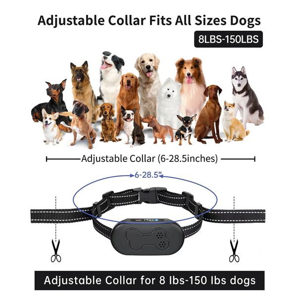 Dog Shock Collar with Remote Control,Rechargeable Dog Training Collar,IPX7 Waterproof E Collar for Dogs with 4 Safe Modes Flashlight Beep Vibration Shock