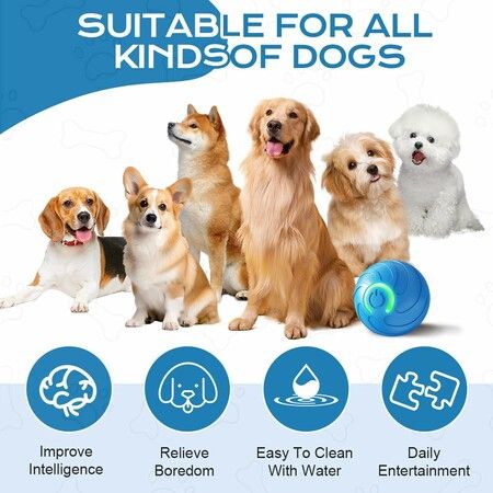 Vibrating Dog Ball,Moving Dog Ball,Shaky Ball Toy for Dogs,Interactive Bouncing Ball,Automatic Moving Dog Toy Ball,Shaking Dog Ball (2pc)
