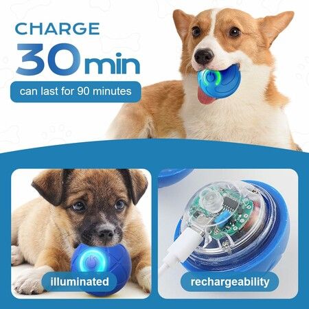 Vibrating Dog Ball,Moving Dog Ball,Shaky Ball Toy for Dogs,Interactive Bouncing Ball,Automatic Moving Dog Toy Ball,Shaking Dog Ball (2pc)