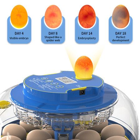 Egg Incubator Hatching Chick Automatic Turning Stop Candler Hatch Days Humidity Display Control 18 Egg Poultry