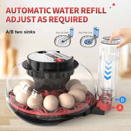 Egg Incubator Hatching Chick Automatic Turning Stop Candler Hatch Days Humidity Display Control 12 Egg Poultry