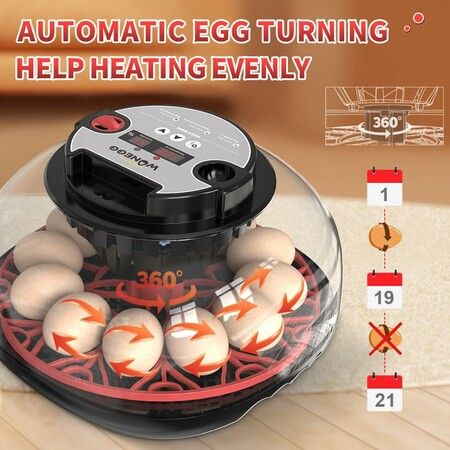 Egg Incubator Hatching Chick Automatic Turning Stop Candler Hatch Days Humidity Display Control 12 Egg Poultry