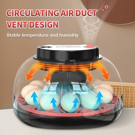 Egg Incubator Hatching Chick Automatic Turning Stop Candler Hatch Days Humidity Display Control 12 Egg Poultry