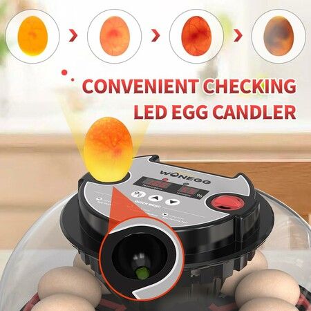 Egg Incubator Hatching Chick Automatic Turning Stop Candler Hatch Days Humidity Display Control 12 Egg Poultry