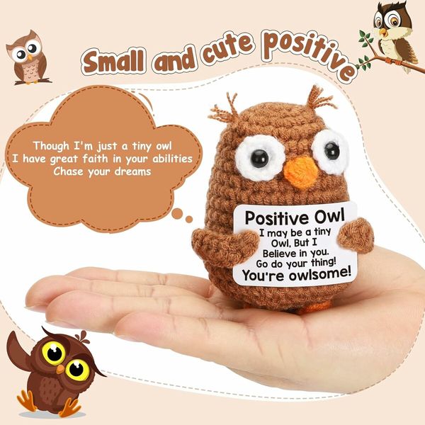 Inspirational Emotional Positive Crochet Owl Support Easter Baskets Stuffer Gifts for Kids Daughter Son Teenagers