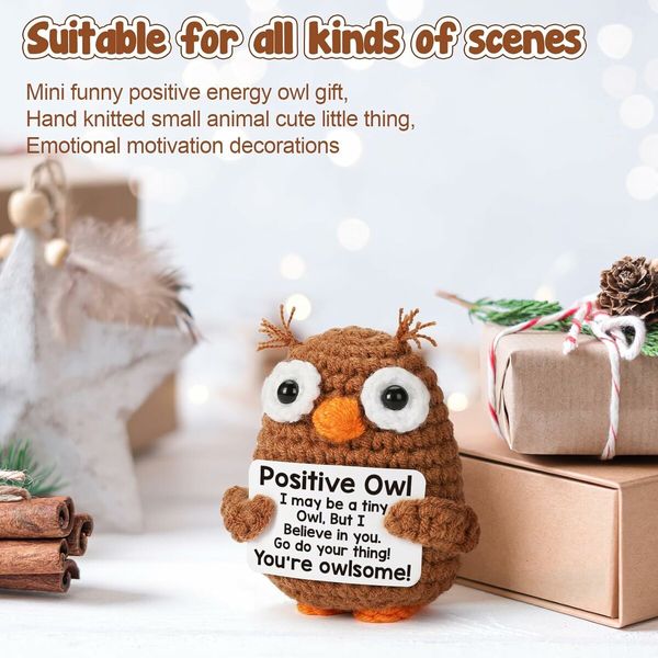 Inspirational Emotional Positive Crochet Owl Support Easter Baskets Stuffer Gifts for Kids Daughter Son Teenagers