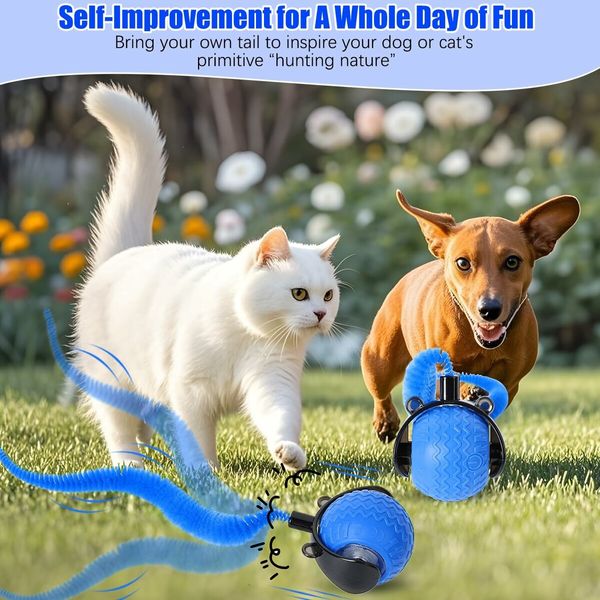 Smart Interactive Cat Toy Ball, Automatic Moving Ball for Cat Dog Toy Ball, Self Rolling Smart Cat Toy Ball Interactive Cat Toys with Tail (Blue)