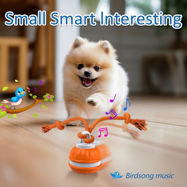Interactive Dog Toys, Motion Activated Dog Ball, Automatic Rolling Ball Toys for Puppy and Small Dogs