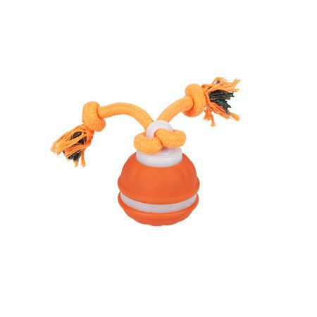 Interactive Dog Toys, Motion Activated Dog Ball, Automatic Rolling Ball Toys for Puppy and Small Dogs