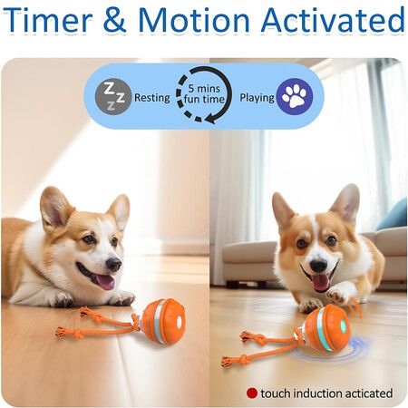 Interactive Dog Toys, Motion Activated Dog Ball, Automatic Rolling Ball Toys for Puppy and Small Dogs