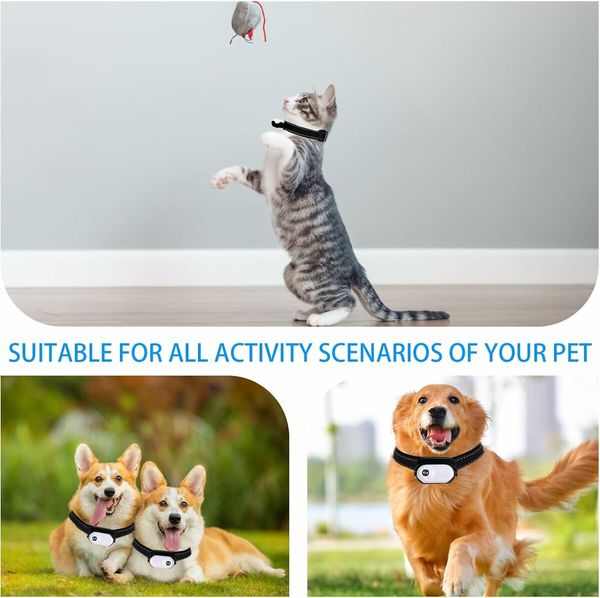 128GB Dog Cat Camera Collar, 1080P Collar Camera Mini Body for Pets, Action Recorder for Cats and Dogs, Dog Tracker Cam Collar Outdoor or Indoor, White