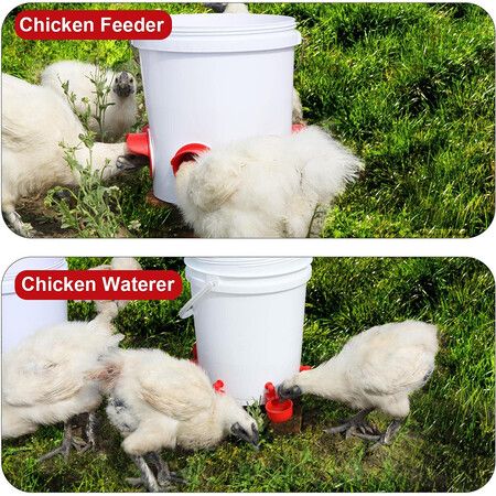 Automatic Chicken Feeders and Waterer Set, 6 Pcs Poultry Feeder 6 Automatic Chicken Water Feeder, Rodent Proof Rain Proof Poultry Feeder Kit