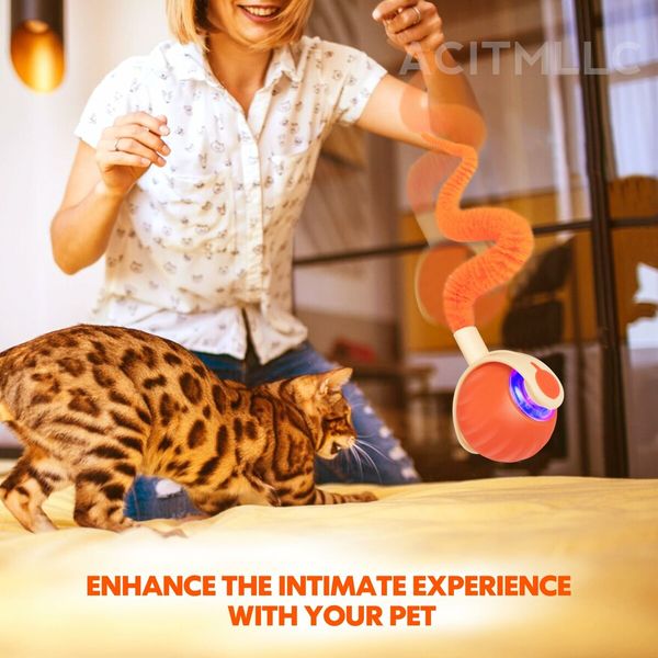 Interactive Cat Dog Toy Ball,Automatic Moving Smart Pet Chase Ball with Feather Tail,Electric Rechargeable Enrichment Toys (Green)