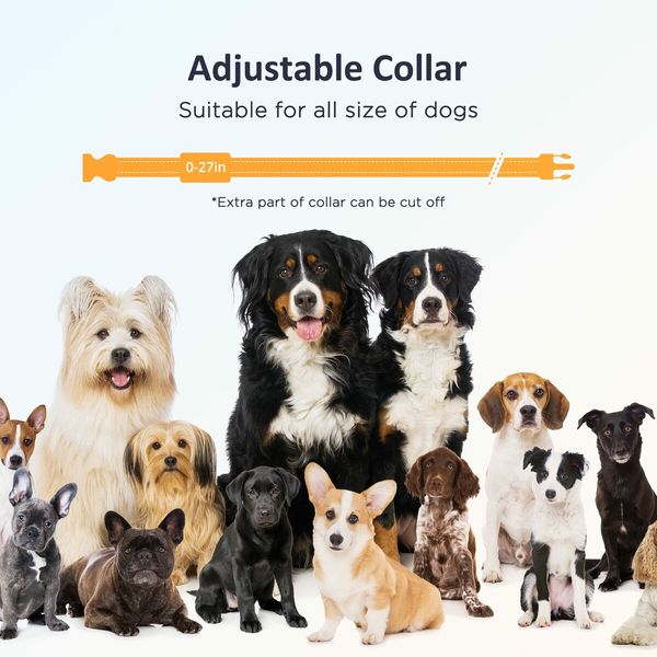 Dog Training Collar with Remote,Electric Dog Shock Collar,3 Adjustable Safe Modes,Rechargeable Waterproof E Collar for Dogs (8-120 lbs)