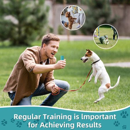 Mini Handheld Anti Barking Device for Dogs, Ultrasonic Dog Training Device, Portable for Dogs Indoor Outdoor Use, 1 Pack Blue