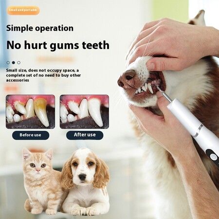 Black Dog Ultrasonic Pet Tartar Removal Tooth Cleaner Cat Teeth Cleaning