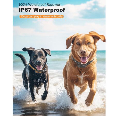 Shock Collar for Dogs 2 Pack, 3300FT Dog Training Collar with Remote for Small Medium Large Dogs 8 to 120lbs, with Beep, Vibration, Shock and Light Modes