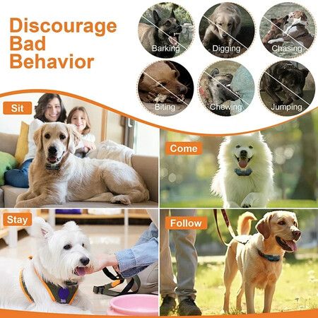 Shock Collar for 2 Dogs, 2 in 1 Dog Training Collar with Remote, 20 Levels Electric Dog Collar for Large Dogs with 3 Modes, Beep Vibration, Shock