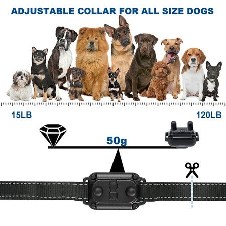 Shock Collar for 2 Dogs, 2 in 1 Dog Training Collar with Remote, 20 Levels Electric Dog Collar for Large Dogs with 3 Modes, Beep Vibration, Shock