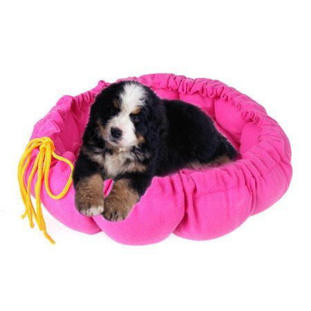 Pet Nest Warm Pumpkin Mat Color Random